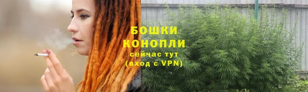эйфоретик Анива