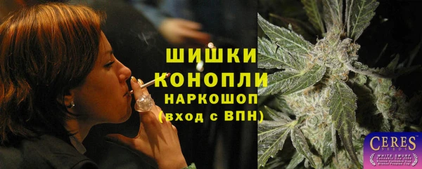 стаф Апатиты