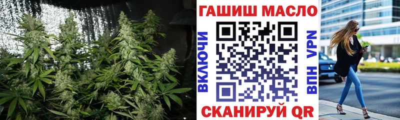 Купить где  Краснокамск  ТГК концентрат 